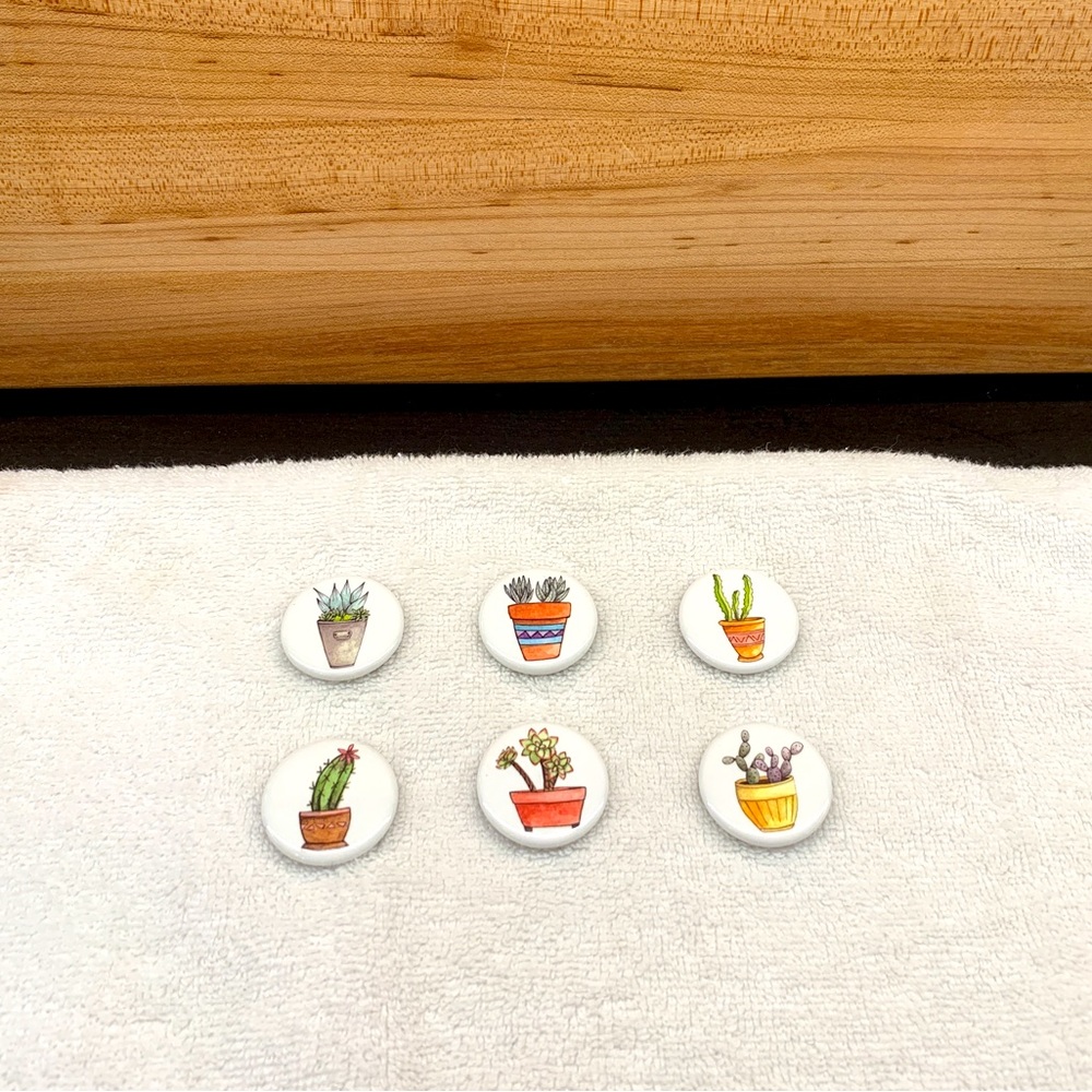Six Succulent Magnets